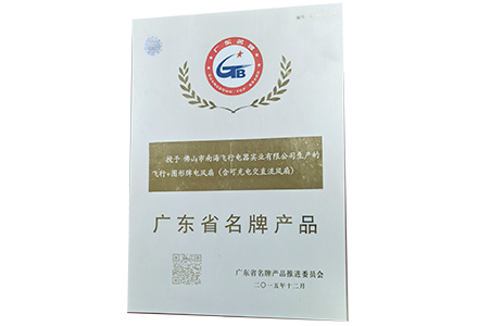 Guangdong Province Famous Brand Product